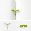 Reading Creative Little Grass Bud Sprout Bookmark Little Leaves Bookmark Grass Buds Bookmark