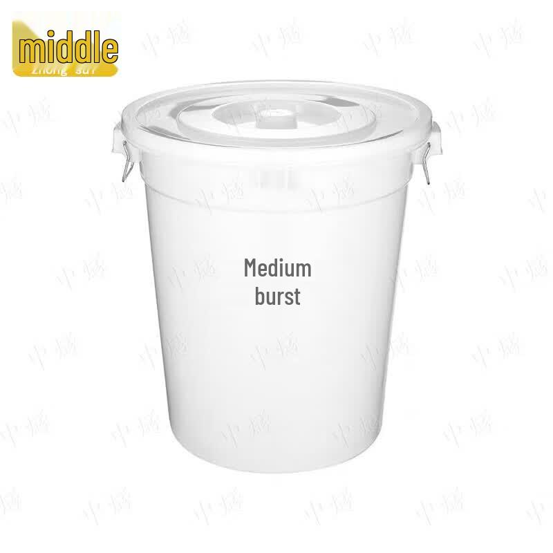 Thickened Plastic Water Storage Bucket with Lid