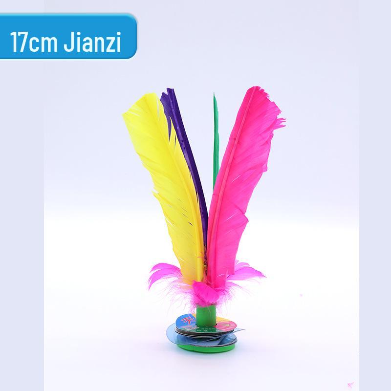 Jianzi Coloré à Plumes pour Étudiants - Grand, Plume d'Oie