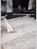 Antibacterial Waterproof Wash-Free Minimalist Luxury Living Room and Bedroom Rug