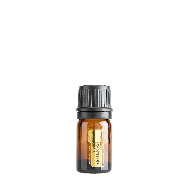 

DoTERRA Doteri Thickened Roll Blending Essential Oil Drop Applicator Bottle Ball Subpackaging Empty Bottles Fine Spray Bottle with Scale 3 5ml Essential Oil Bottles