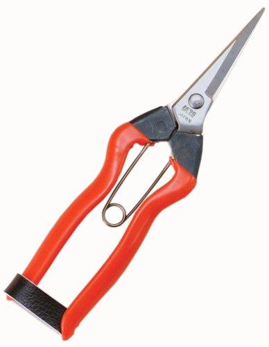 

Koshiji stainless extirpation Hanabasami K-9 (japa