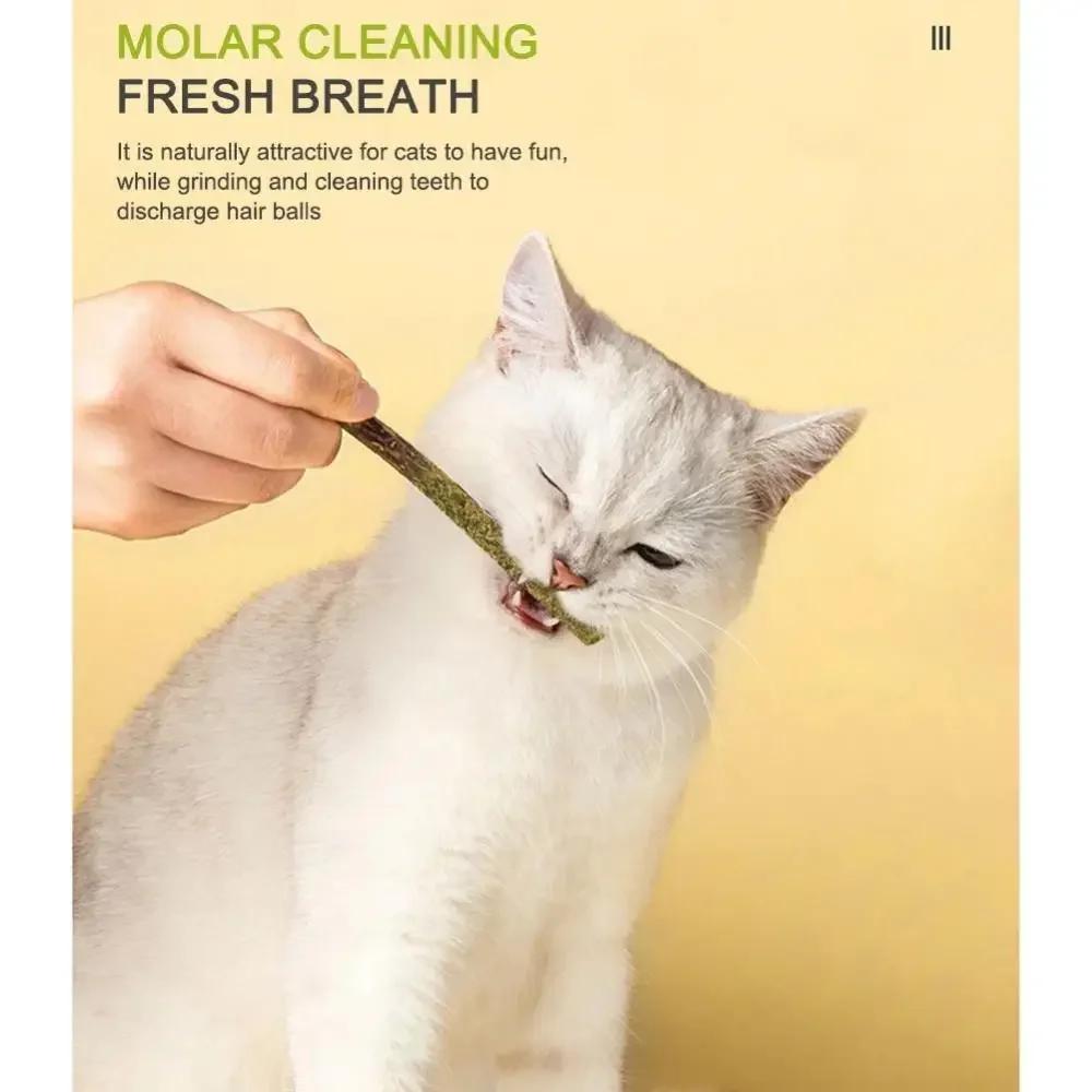 Natural Matatabi Cat Stick Mint Caught Bite Excited Rods Silvervine For Cat Teeth Cleaning Treating Pet Supply Cat Toys