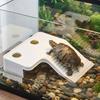Non-Slip Basking Platform Suction Cup Turtle Climbing Slope Reptile Ramp  Pet Habitat