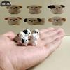 Kodu dekoor – Dekoratiivsed terraariumid