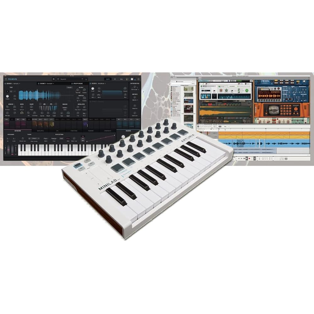 ARTURIA MINILAB MK2 SP SPECIAL BUNDLE SET [MINILAB MKII/pigments/Reason+] MIDI Keyboard Controlle...