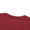 Fila Fashion Casual Knit Pullover Sweatshirt Men Sweatshirts Rust-Red A11M511221FRD