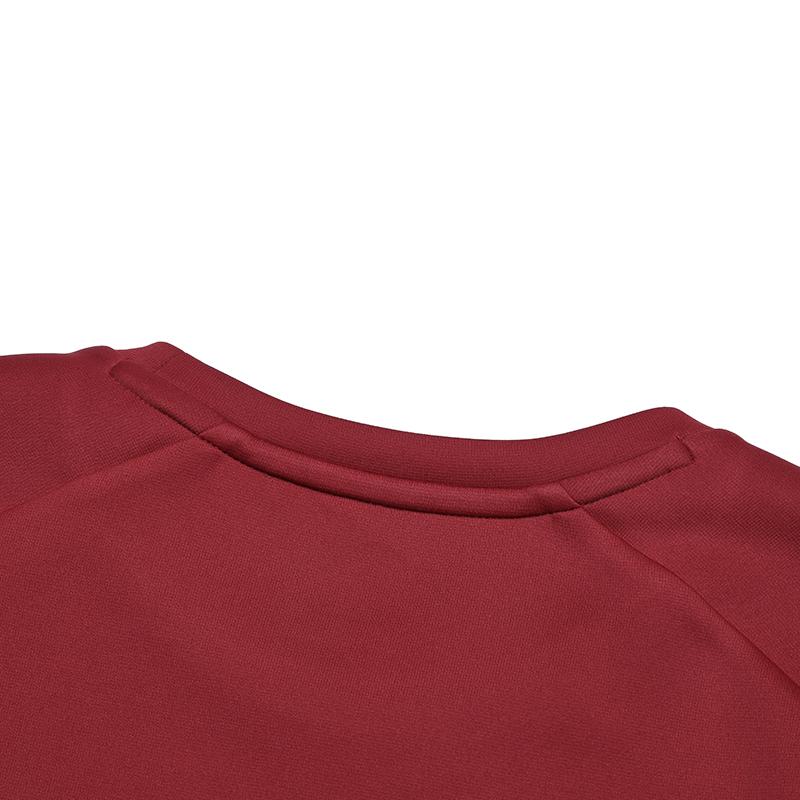 Fila Fashion Casual Knit Pullover Sweatshirt Men Sweatshirts Rust-Red A11M511221FRD