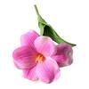 17.3" Artificial Blooming Tulip Flower Real Touch PU Fake Tulip Bouquet with Long Stem for DIY Indoor Home Wedding Office