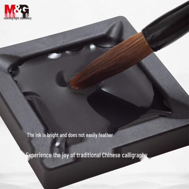 Chenguang Quick-Drying Fountain Pen Ink