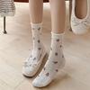 2026 New Mesh Floral Lace Women's Thin Striped Long Socks - Spring & Summer Korean Style