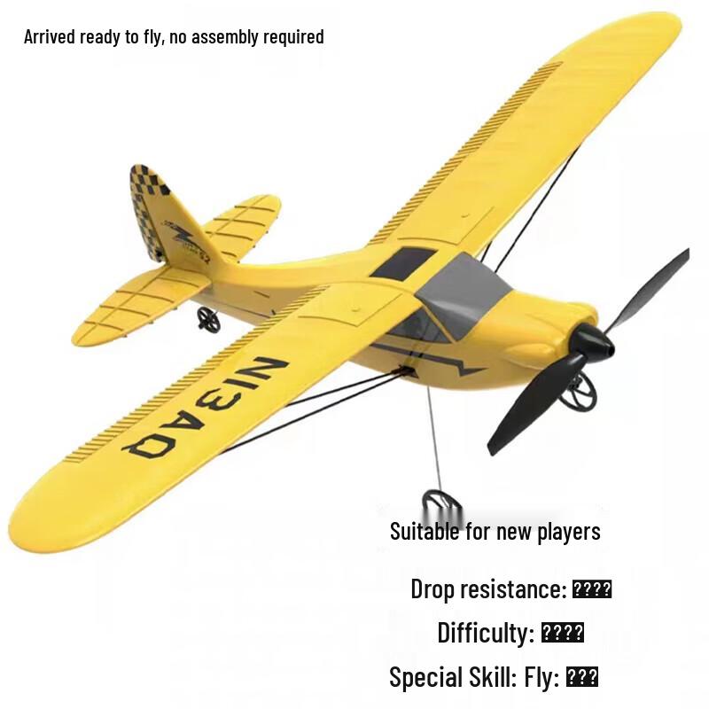 Wanjiajia RC Fixed-Wing Glider Trainer