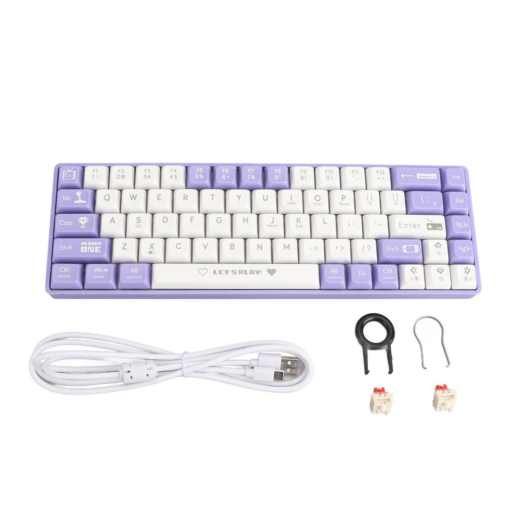 68 Keys Wired Mechanical Gaming Keyboard Hot Swappable Dynamic Backlighting Red Switch Mechanical Keyboard for Gaming