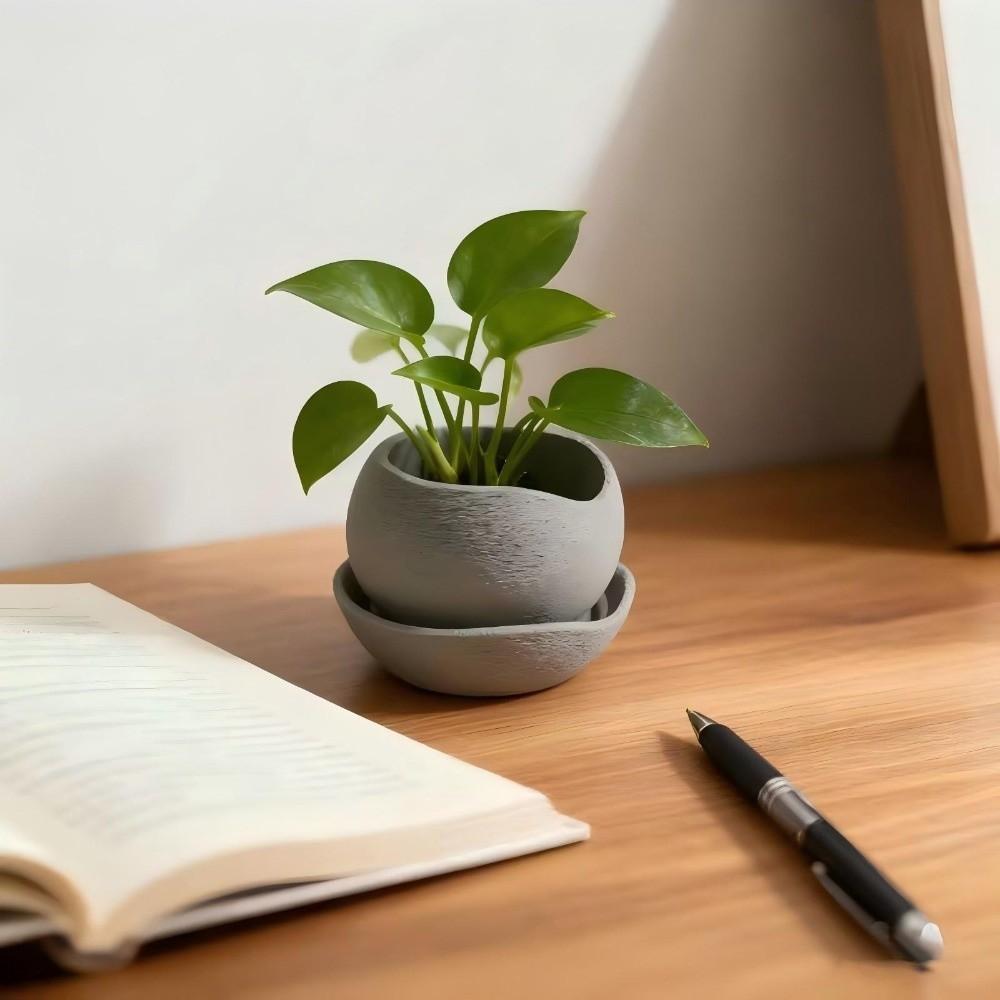 3D-gedruckte Sukkulenten-Pflanzgefäße Kunststoff-Anzuchttöpfe Moderner Dekorativer Topf Schreibtisch