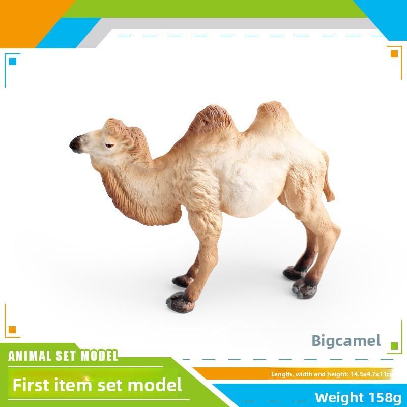 

Wildlife Animal Model Set Pvc Camel Giraffe Educational Collectible For Kids Nature Learning Camel
