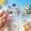 2D Acrylic Coaster Set with Pressed Flower Design Heat-Resistant Drink Mat for Coffee Cups Decorative Tableware for Mother's Day Gift Unique Home