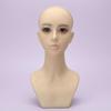 Female Mannequin Bust PVC Shell Hairpiece Display Head Foam Filled Jewelry for Photo