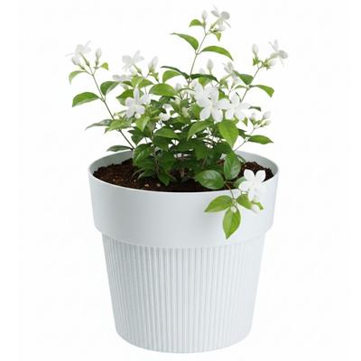 Donica Silva Line Recycling White H12.7X14.5 Cm