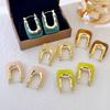 Irregular Shape Resin Earrings Vintage Style Geometric Earrings Ear Buckles  Girls Jewelry