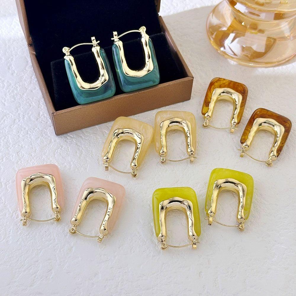 Irregular Shape Resin Earrings Vintage Style Geometric Earrings Ear Buckles  Girls Jewelry