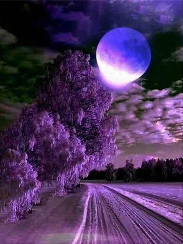 Diamant-Malerei, Mond, voller Bohrer, quadratisch, Diamant-Stickerei, Baum, Perlen, Mosaik, Küstenlandschaft, 5D, DIY-Kunst, Wanddekoration