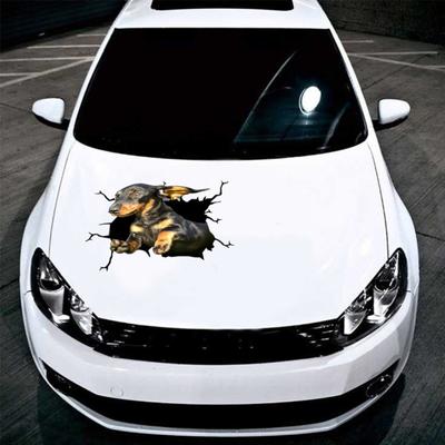 Adesivi divertenti per auto Realistico modello squisito Simulazione Design crepa per animali domestici Effetto 3D Decora Simulazione 3D accattivante Adesivo per finestra auto carino