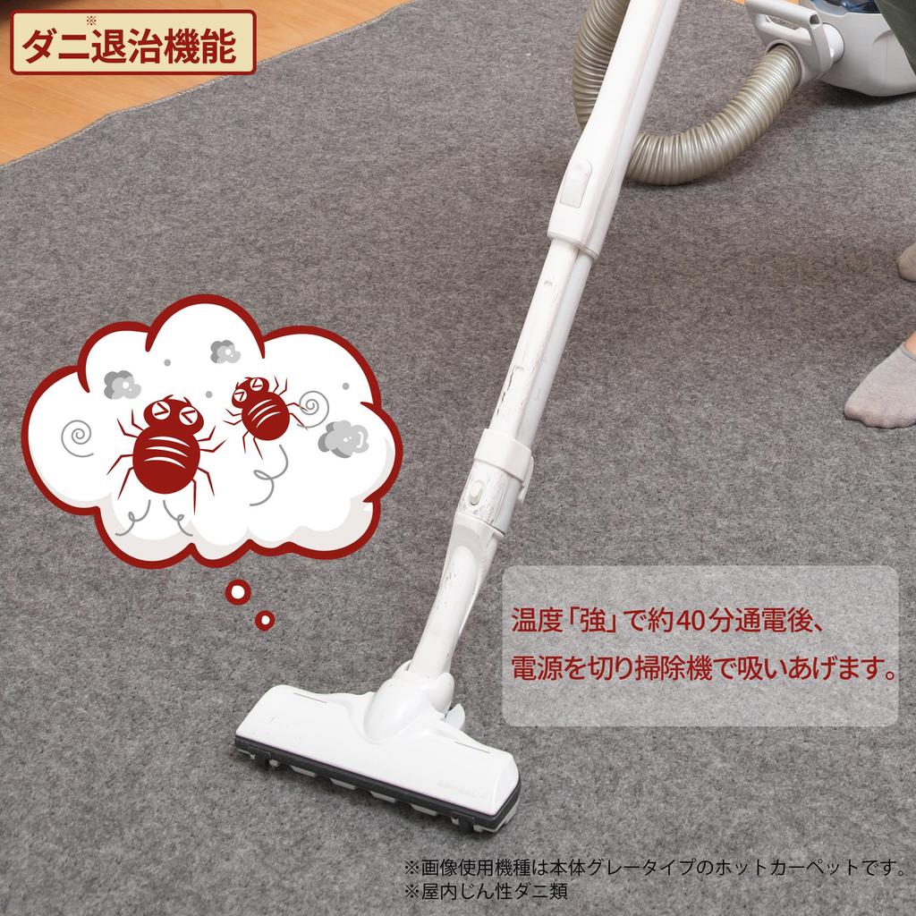Life Joy Electric Hot 1 Tatami Mat 88cm x Dust Mite Compact JPU101H Carpet, Size, 176cm, Repellent, Storage, Gray,