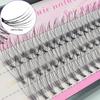 60 Bündel/Box 10D 0,1 mm Wimpernverlängerung Einzelwimpern Natürlicher Stil Einzelwimpern Handgefertigte Wimpernbündel