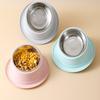 Colorful Macaron Tilted Ant-proof Cat Bowl Healthy And Slip-resistant Pet Dish