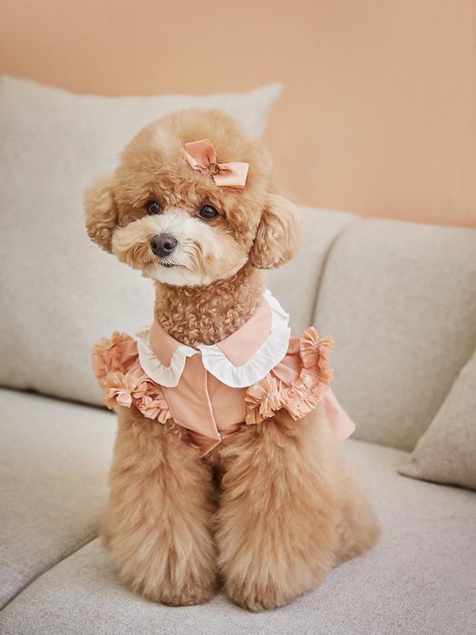 

CAHIERS Ruffle Detail Apricot Dress APRICOT_M