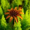 Wetterbeständiger Weihnachts-Gartenspieß Handgefertigter Antiker Geschirr-Spieß zur Gartengestaltung
