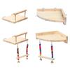 Accessories with Color Beads Bird Swing Toy Parrot Perch Stand Parrot Climbing Rack Bird Chew Toy