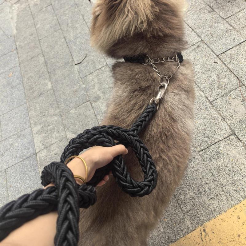 Pet Leash Medium and Large Dog Leash Bold Reinforced Leash Giant Dog Walking Leash Pet Supplies