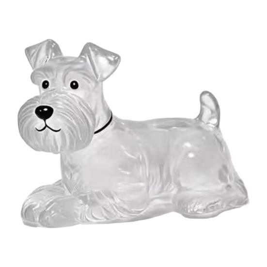 Pet Hair Memorial Keychain Pet Hair Preservation Bottle Transparent Synthetic Resin Engraved Pet Memory Jar