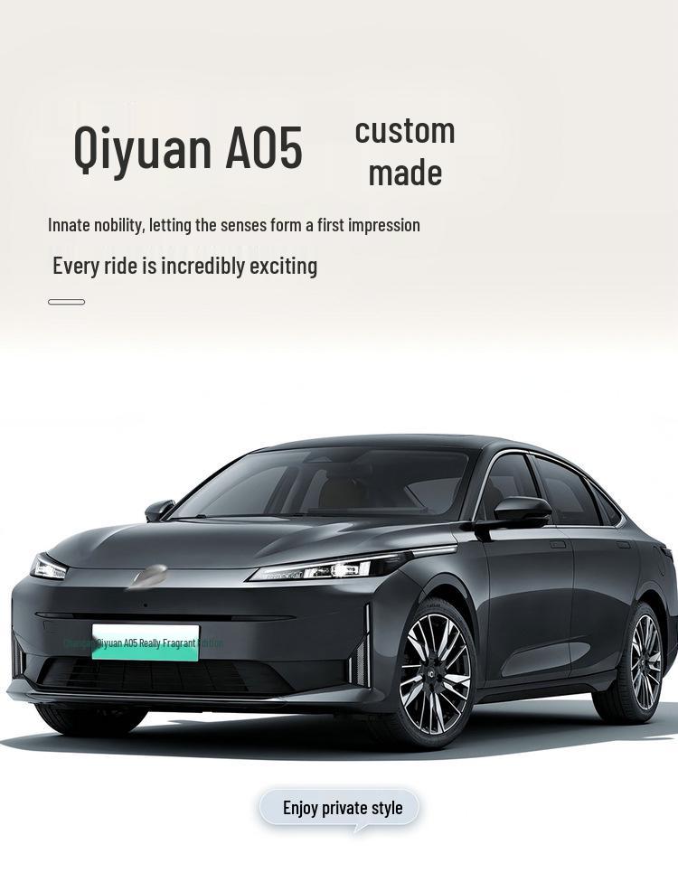 All-Season Perforated Leather Sports Car Seat Cushion for Qiyuan A05