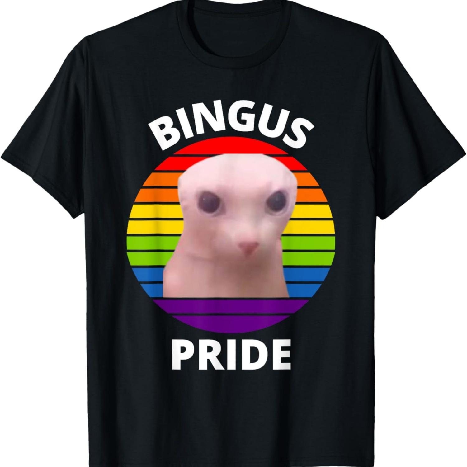 

Bingus My Beloved Gay Pride Hairless Sphinx Bingus Cat Meme T-Shirt XXXXXL чорний