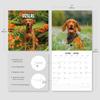 Red Robin 2026 Vizslas Monthly Wall Calendar | 12" x 24" Open | Premium Thick & Sturdy Paper | Hangable 12 Month Calendar | Lined Notes & To Do Area