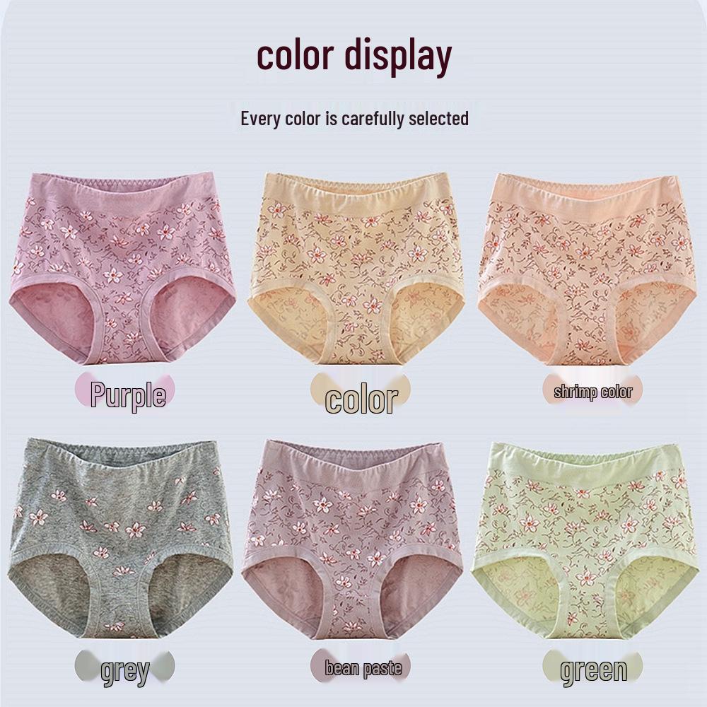 Mom’s Style Cotton High-Waisted Plus Size Briefs for Women