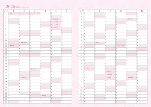 Amy 2026 Attraction Schedule Book: A Diary for Living Your Life (Nagaoka Shoten Diary)