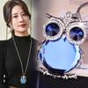 Crystal Owl Sweater Chain Women'S Autumn And Winter Long Owl Pendant Necklace Clothes Accessories