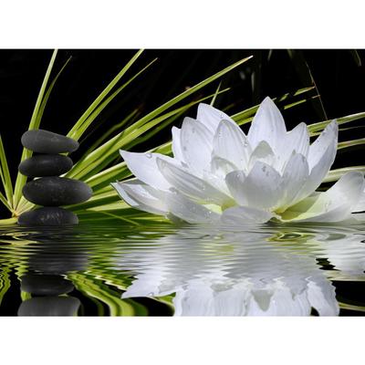 DIY 3D Diamond Painting Lotus Embroidery Cross Craft Stitch Home Decor