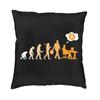 Decorative Cryptocurrency Blockchain Miner Nordic Cushion Cover Square Pillow  Bitcoin