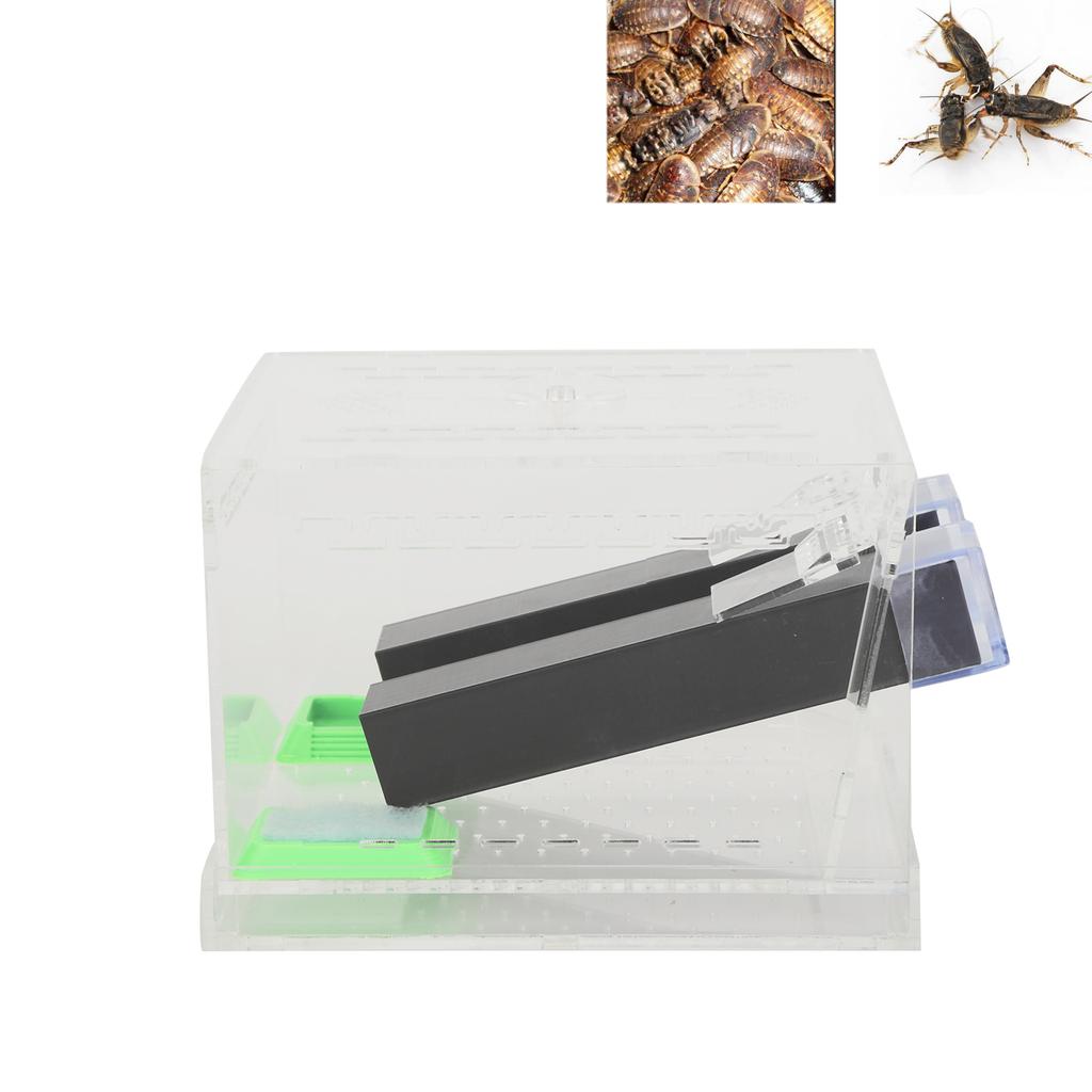 Acrylic Feeding Cricket Pen with Tubes Insect Cockroach Care Kit Reptile Box