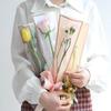 20/30/50Pcs Colorful Flower Wrappers Transparent Bag For Bouquet Flower Wrapper Waterproof Diy Gift Flower Decoration