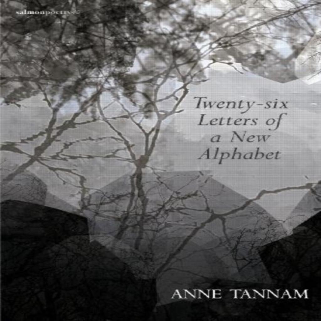 TwentySix Letters of a New Alphabet by Anne Tannam Paperback Book 9781912561315