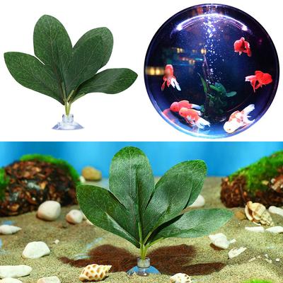 Resting Oviposition Leaves Fish Tank Simulation Betta Leaf Fish Tank Plants Aquatic Plants