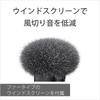 Sony ECM-W3S Single-Channel Wireless Microphone, 1 Transmitter + Receiver + Charging Case, Windscreen