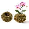Ghiveci cu Muschi Sferic, Suport Natural Verde pentru Plante Bonsai, Ghiveci Decorativ cu Muschi Sferic pentru Casă, Grădină, Decor Petrecere de Nuntă