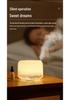 500ml Large Mist Humidifier & Essential Oil Diffuser for Home