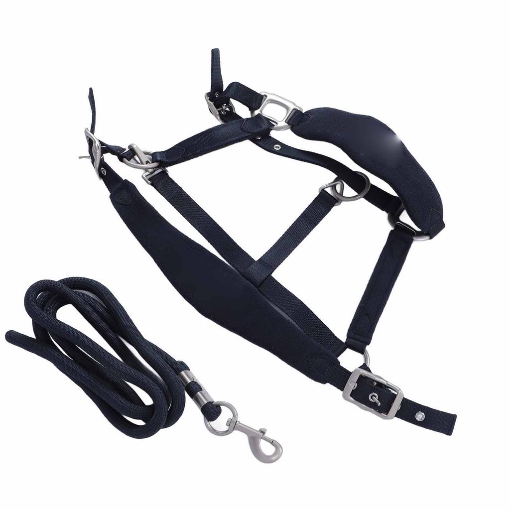 Horse Halter Set Prevent Rubbing Adjustable Horse Training Halter with 2m Horse Leash for Training Daily